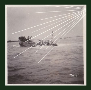 Sontag Shogun - Tale ryhmässä CD @ Bengans Skivbutik AB (1003429)