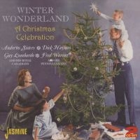 Blandade Artister - Winter Wonderland - A Christmas Cel ryhmässä CD @ Bengans Skivbutik AB (1008133)