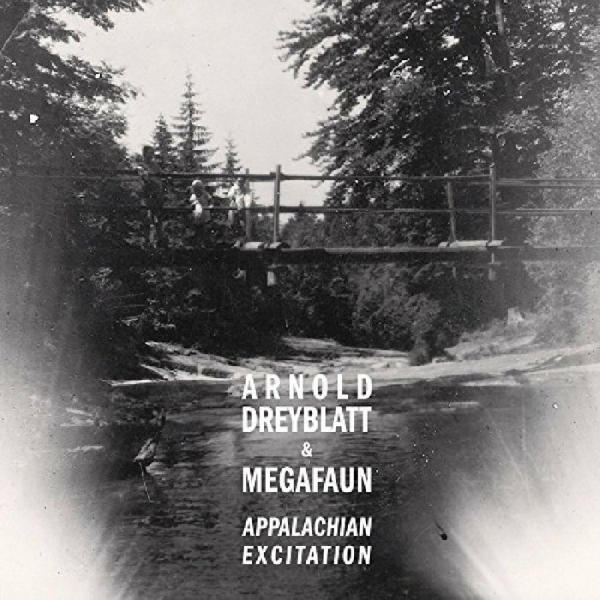 Dreyblatt Arnold & Megafaun - Appalachian Excitation ryhmässä CD / Myydyimmät @ Bengans Skivbutik AB (1012062)