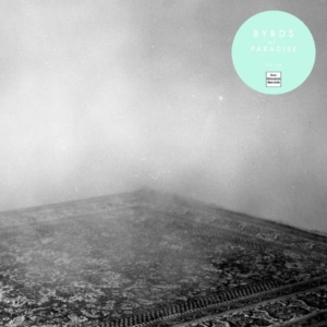 Byrds Of Paradise - Teenage Symphonies ryhmässä VINYYLI @ Bengans Skivbutik AB (1012477)