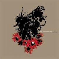 Vanderslice John - Cellar Door ryhmässä CD / Rock @ Bengans Skivbutik AB (1014301)