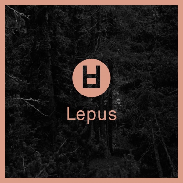 Various Artists - Lepus ryhmässä MC @ Bengans Skivbutik AB (1017761)
