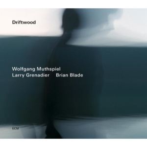 Wolfgang Muthspiel/Larry Grenadier/ - Driftwood ryhmässä CD @ Bengans Skivbutik AB (1030638)