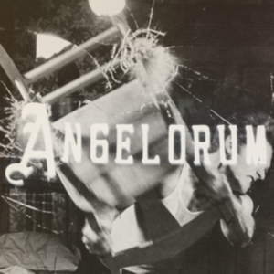 Apollo James - Angelorum ryhmässä CD @ Bengans Skivbutik AB (1044926)