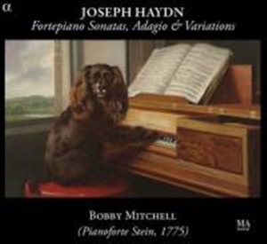 Haydn - Fortepiano Sonatas ryhmässä Externt_Lager / Naxoslager @ Bengans Skivbutik AB (1058004)