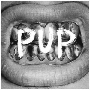 Pup - Pup ryhmässä CD @ Bengans Skivbutik AB (1088484)