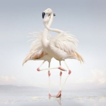 Rustie - Green Language ryhmässä VINYYLI / Myydyimmät @ Bengans Skivbutik AB (1105686)