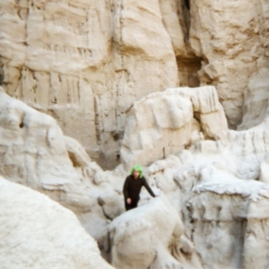 Ps Worship - Social Rust ryhmässä CD @ Bengans Skivbutik AB (1108012)