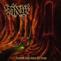 SHEOL - SEPULCHRAL RUINS BELOW THE TEMPLE ryhmässä CD @ Bengans Skivbutik AB (1110930)