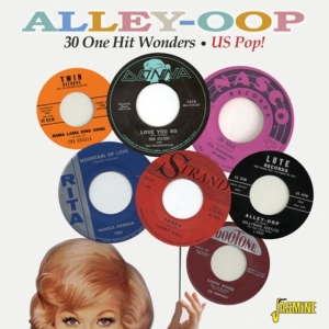 Various Artists - Alley-Oop - 30 One Hit Wonders Us P ryhmässä CD @ Bengans Skivbutik AB (1111477)
