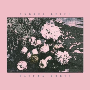 Belfi Andrea - Natura Morta ryhmässä CD @ Bengans Skivbutik AB (1117891)