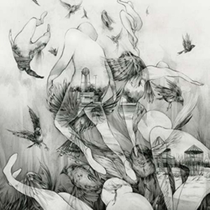 Mono - Last Dawn ryhmässä CD @ Bengans Skivbutik AB (1117906)