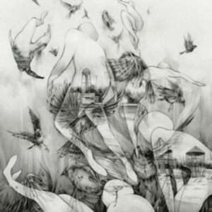 Mono - Last Dawn ryhmässä VINYYLI @ Bengans Skivbutik AB (1117907)