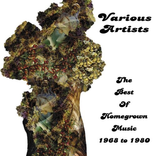 Various Artists - Best Of Homegrown Music 1968-1980 ryhmässä CD / Myydyimmät @ Bengans Skivbutik AB (1131387)