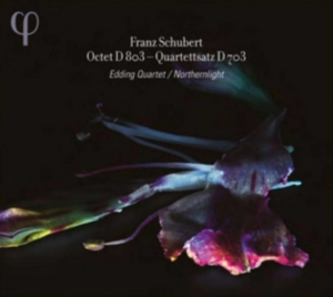 Schubert - Octet ryhmässä CD @ Bengans Skivbutik AB (1135038)