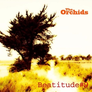Orchids - Beatitude # 9 ryhmässä CD @ Bengans Skivbutik AB (1136905)