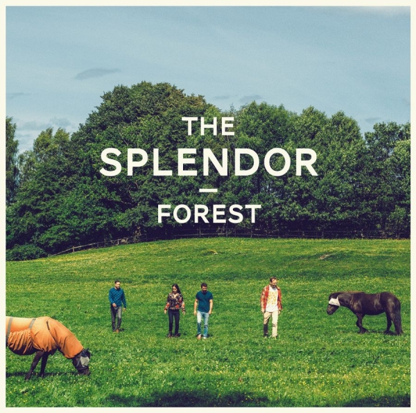 Splendor - Forest ryhmässä VINYYLI / Myydyimmät @ Bengans Skivbutik AB (1142506)