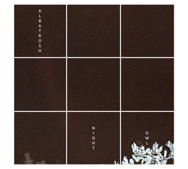Albatrosh - Night Owl ryhmässä VINYYLI / Myydyimmät @ Bengans Skivbutik AB (1146814)