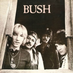 Bush - Bush ryhmässä CD @ Bengans Skivbutik AB (1154965)