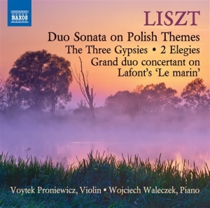 Liszt - Music For Violin And Piano ryhmässä Externt_Lager / Naxoslager @ Bengans Skivbutik AB (1167907)
