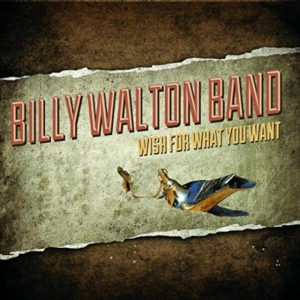 Walton Billy - Wish For What You Want ryhmässä CD @ Bengans Skivbutik AB (1179246)