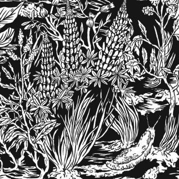 Eternal Tapestry - Wild Strawberries ryhmässä CD / Myydyimmät @ Bengans Skivbutik AB (1191606)
