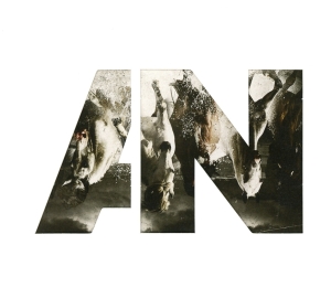 Awolnation - Run ryhmässä CD @ Bengans Skivbutik AB (1193208)
