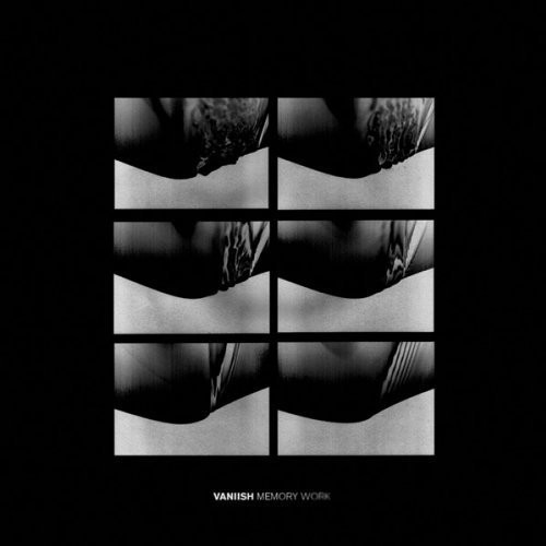 Vaniish - Memory Work (Vinyl) ryhmässä VINYYLI / Myydyimmät @ Bengans Skivbutik AB (1193716)
