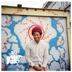 Toro Y Moi - What For? ryhmässä VINYYLI @ Bengans Skivbutik AB (1247465)