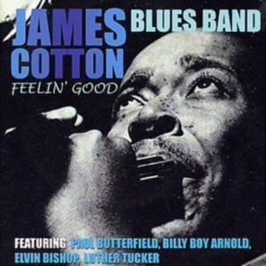 Cotton James - Feelin? Good ryhmässä CD @ Bengans Skivbutik AB (1266486)