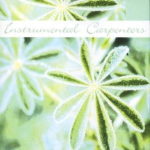 Instrumental Carpenters - Instrumental Carpenters ryhmässä CD @ Bengans Skivbutik AB (1267013)