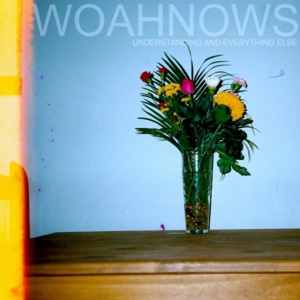 Woahnows - Understanding And Everything Else ryhmässä VINYYLI @ Bengans Skivbutik AB (1275696)