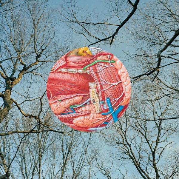 They Might Be Giants - Glean ryhmässä CD / Myydyimmät @ Bengans Skivbutik AB (1288777)