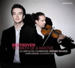 Beethoven - The Birth Of A Master ryhmässä CD @ Bengans Skivbutik AB (1312421)