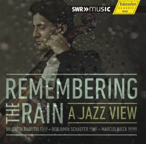Various Composers - Remembering The Rain - A Jazz View ryhmässä CD @ Bengans Skivbutik AB (1313571)
