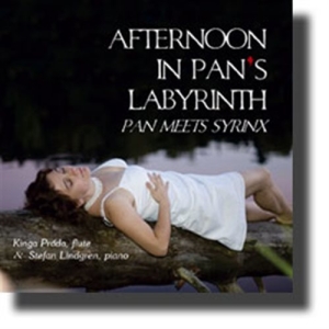 Kinga Práda / Stefan Lindgren - Afternoon In Pan´S Labyrinth ryhmässä CD @ Bengans Skivbutik AB (1317769)