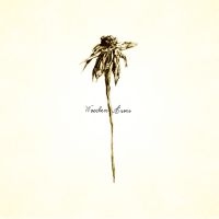 Patrick Watson - Wooden Arms ryhmässä CD @ Bengans Skivbutik AB (1333941)