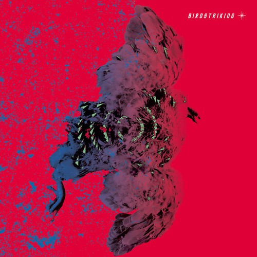 Birdstriking - Birdstriking ryhmässä CD / Myydyimmät @ Bengans Skivbutik AB (1334845)