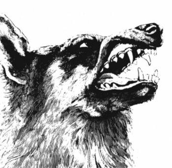 Gazpacho - Missa Atropos ryhmässä VINYYLI / Myydyimmät @ Bengans Skivbutik AB (1335176)