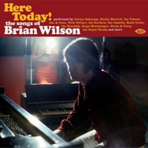 Various Artists - Here Today! The Songs Of Brian Wils ryhmässä CD @ Bengans Skivbutik AB (1336047)