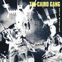 Cairo Gang The - Goes Missing ryhmässä VINYYLI @ Bengans Skivbutik AB (1475101)