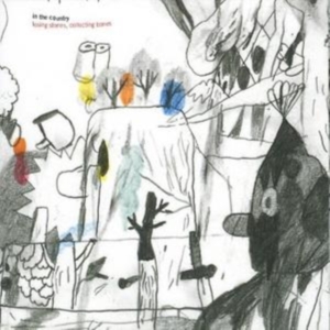 In The Country - Losing Stones, Collecting Bones ryhmässä CD @ Bengans Skivbutik AB (1475356)