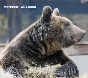 Merzbow - Wildwood ryhmässä CD @ Bengans Skivbutik AB (1484035)