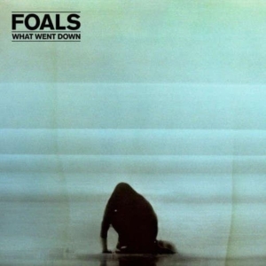 Foals - What Went Down ryhmässä VINYYLI @ Bengans Skivbutik AB (1485885)