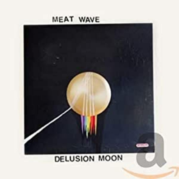 Meat Wave - Delusion Moon ryhmässä CD / Myydyimmät @ Bengans Skivbutik AB (1516138)