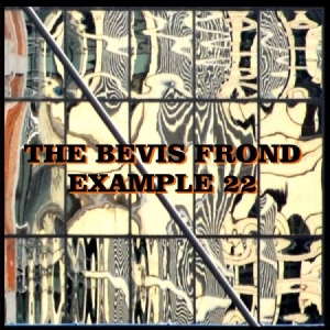 Bevis Frond - Example 22 ryhmässä CD @ Bengans Skivbutik AB (1521233)