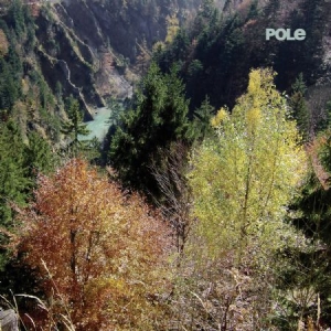 Pole - Wald ryhmässä CD @ Bengans Skivbutik AB (1528684)