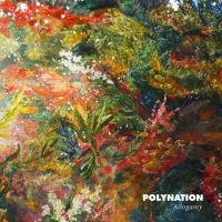 Polynation - Allogamy ryhmässä VINYYLI @ Bengans Skivbutik AB (1532924)