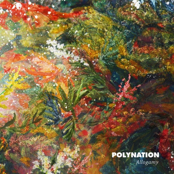 Polynation - Allogamy ryhmässä VINYYLI / Rock @ Bengans Skivbutik AB (1532924)