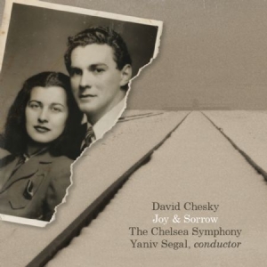 Chesky David - Joy & Sorrow ryhmässä CD @ Bengans Skivbutik AB (1532939)